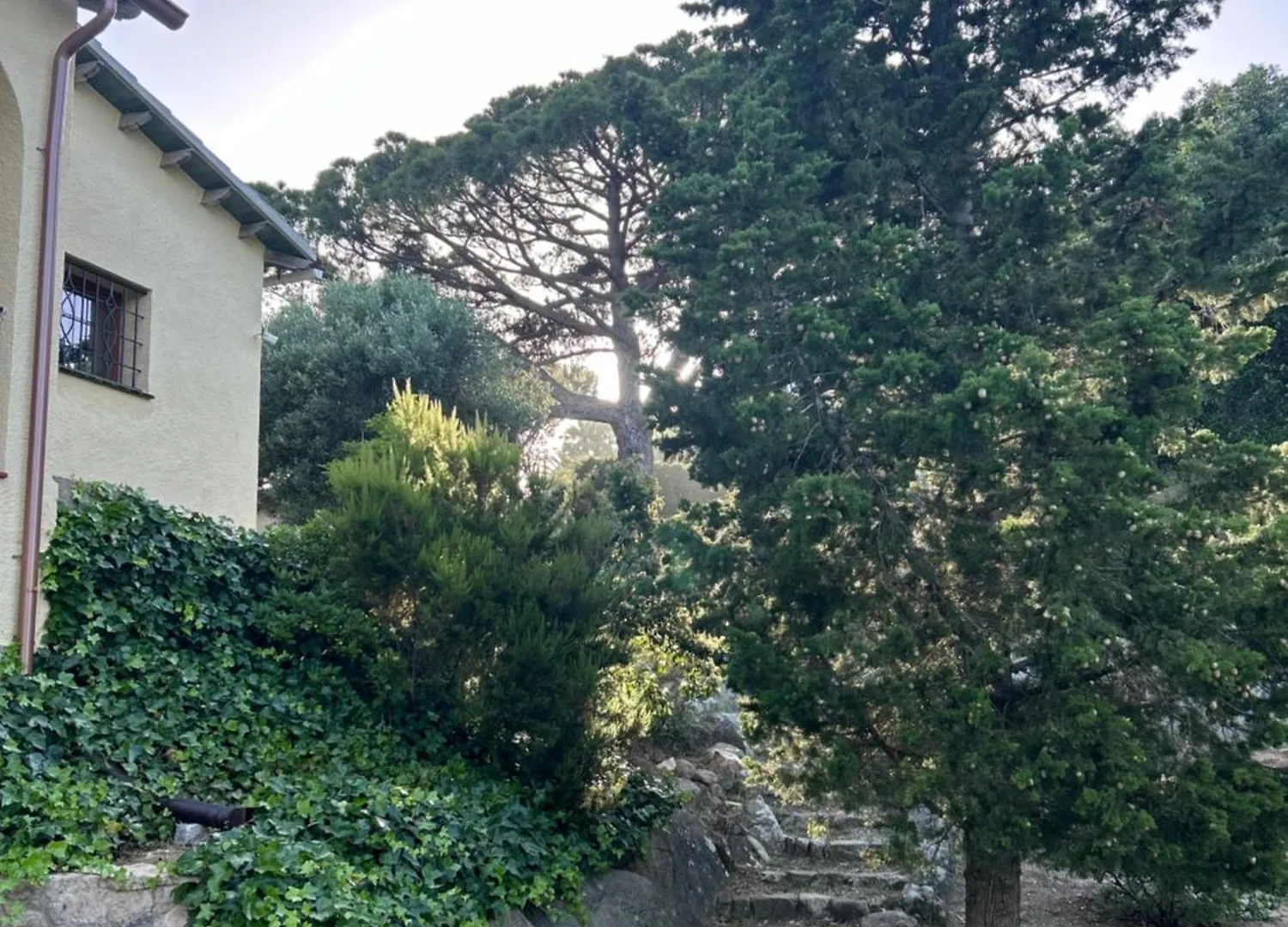 山林小屋 滨海略雷特Ses Alzines别墅 西班牙
